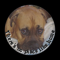 Boxer:  There's no place like home magnets