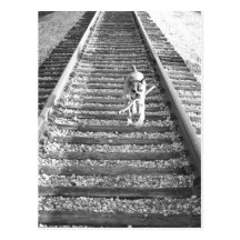 Boxer traveling greeting card post cards