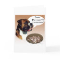 Boxer Turkey cards by GreyWolfCreation Boxer Turkey cards