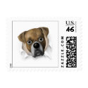 Boxer (Uncropped) Busting Out - Customized postage by cartoondogs Boxer (Uncropped) Busting Out - Customized postage