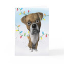 Boxer (Uncropped) Christmas cards