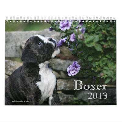 Boxer Wall Calendar Boxer Wall Calendar