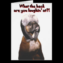 Boxer: What the Heck! cards
