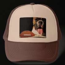 Boxer with football baseball hat hats