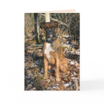 Boxer Woods Walk Greeting Cards