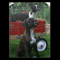 Boxers and Bostons: Little Sweethearts notebooks