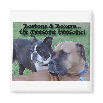 Boxers and Bostons: The Awesome Twosome magnets by wigglebutthut Boxers and Bostons: The Awesome Twosome magnets
