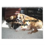boxers by  ... calendars