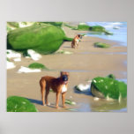 Boxers on the beach poster posters