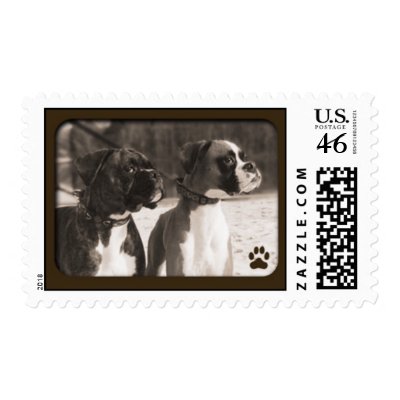 boxers postage stamp by leighannathompson