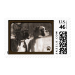 boxers postage