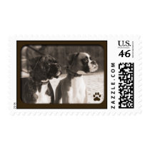 boxers postage by leighannathompson boxers postage