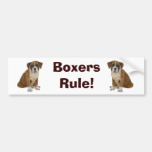 Boxers Rule Bumper Sticker