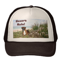 Boxers Rule Hat