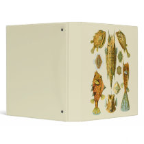 Boxfish or Cowfish Binder
