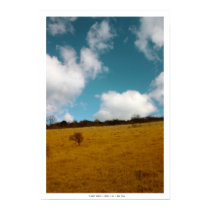 BOXHILL posters