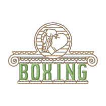 Boxing embroidered shirts