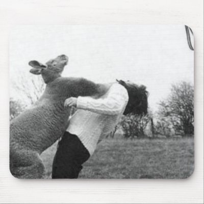 boxing_kangaroo_mousepad-p144212028973927084envq7_400.jpg