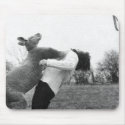 Boxing Kangaroo mousepads by jkast2648 Boxing Kangaroo mousepads