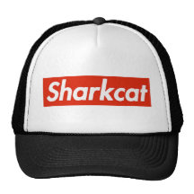 BOXLOGO MESH HATS