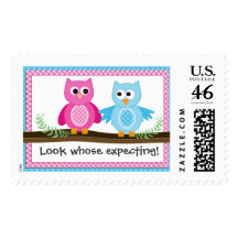 Boy and Girl Owl Twin Theme Postage Stamp