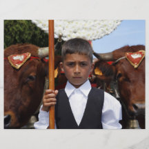 Boy and oxen flyers