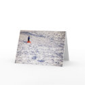 Boy and Sled cards