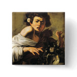Boy Bitten by a Lizard, Caravaggio Pin