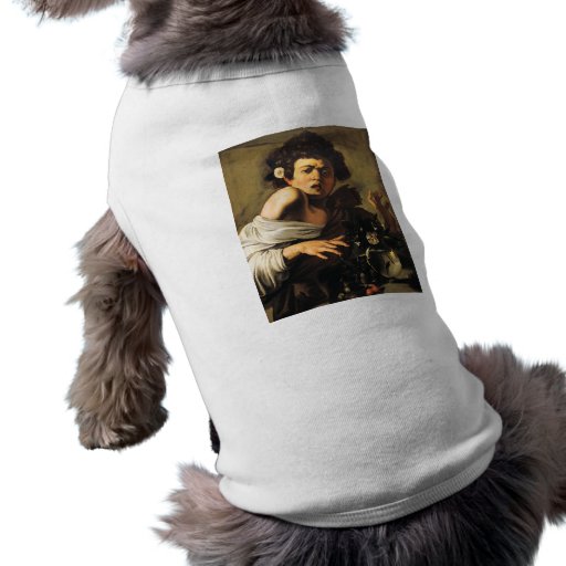 Boy Bitten by a Lizard, Caravaggio Doggie Shirt