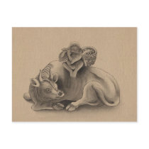 Boy, Flute, Bull, Dream Vintage Postcards