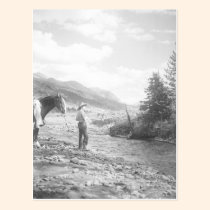 Boy fly fishing. postcards