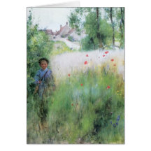 Boy in Meadow - Sommerbilder Card