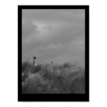 Boy in the Dunes posters by piccola Boy in the Dunes posters