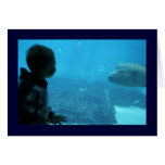 Boy Meets Fish