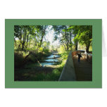 Boy on Boardwalk Card
