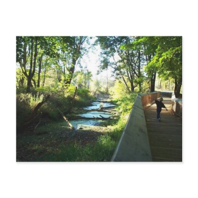 Boy on Boardwalk Post Card by moxieann