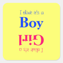 Boy or Girl Baby Gender Reveal Game Sticker