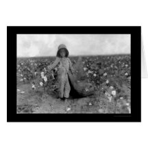 Boy Picking Cotton in Comanche, OK 1916 Cards