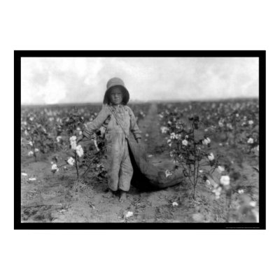 Boy Picking Cotton in Comanche, OK 1916 Poster by lc_vintagephotos