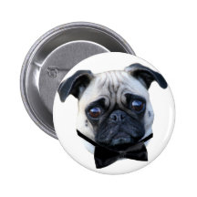 Boy Pug button