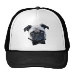 Boy Pug Hat