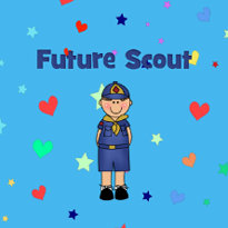 Boy Scout sticker
