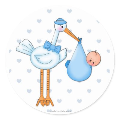 Boy Stork Sticker