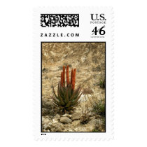 Boyce Thompson Aboretum State Park, Arizona postage by moxieann Boyce Thompson Aboretum State Park, Arizona postage