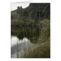 Boyce Thompson Arboretum State Park, Arizona cards by moxieann Boyce Thompson Arboretum State Park, Arizona cards