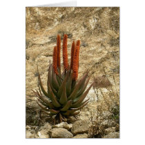 Boyce Thompson Arboretum State Park cards