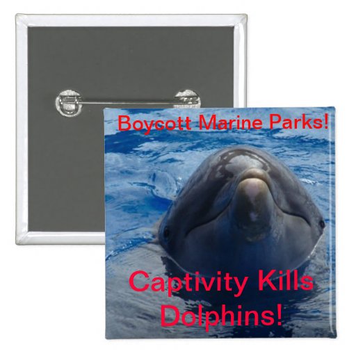 Boycott Marine Parks - Captivity Kills Dolphins! Pin