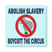 BOYCOTT THE CIRCUS FRIDGE MAGNETS