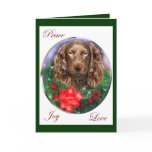 Boykin Spaniel Christmas Gifts Greeting Card