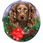 Boykin Spaniel Christmas Gifts Ornament Photo Cut Out